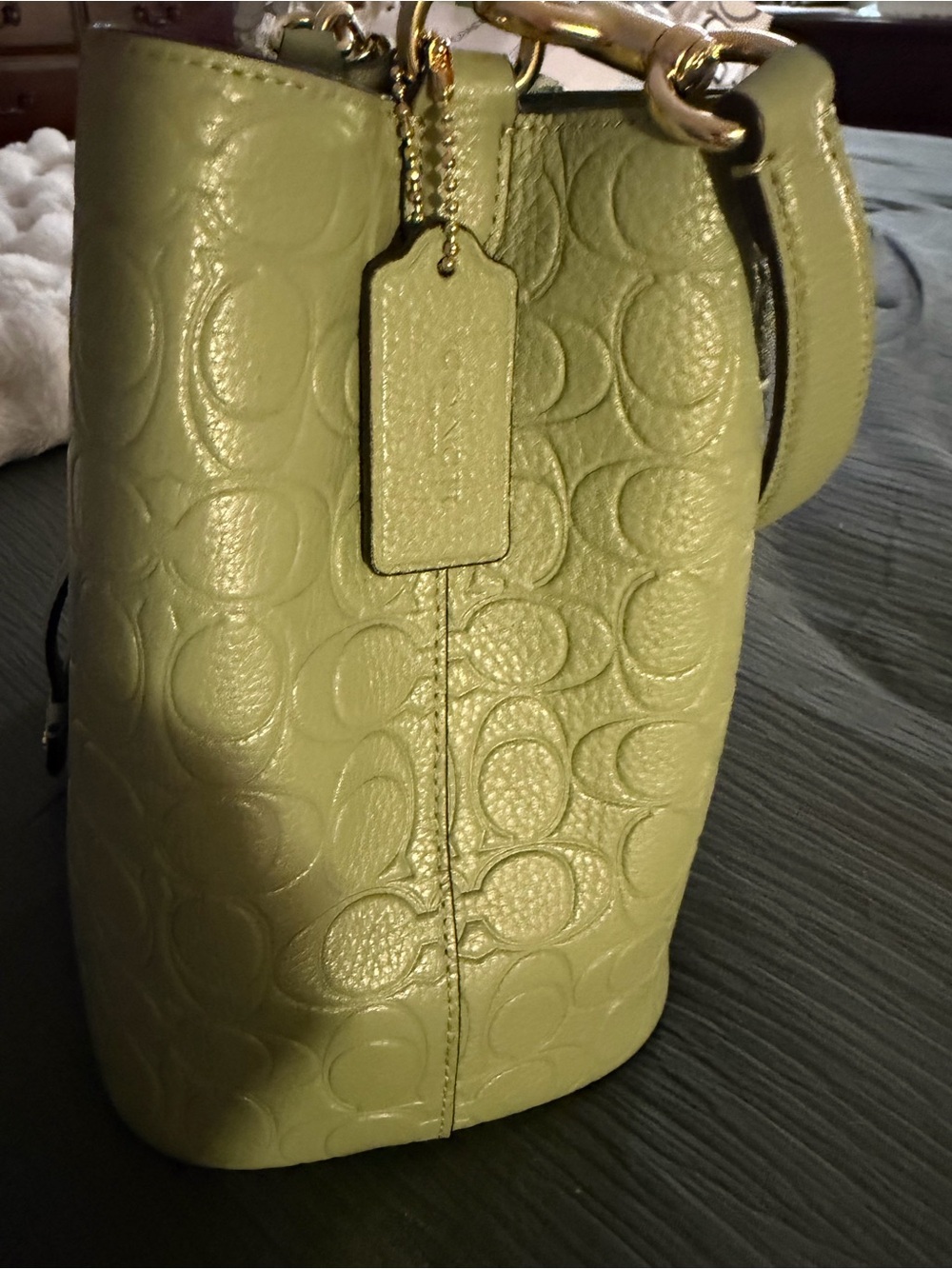 Coach Sage Green Embossed Pebbled Leather Drawstring Bucket Bag with Pouch - Picture 9 of 12